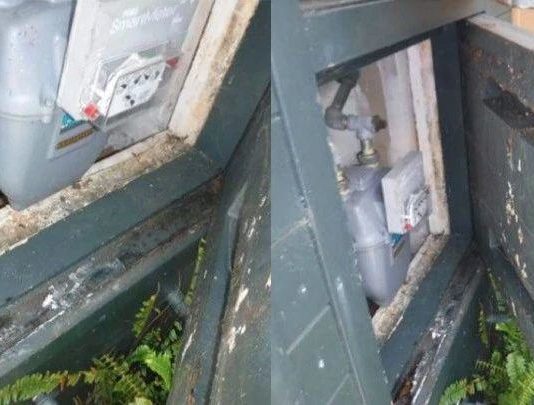 湾区二手房要花1万刀除白蚁?细数硅谷买房过程中遇到的坑!