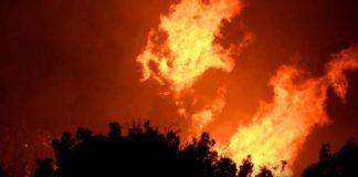 秋老虎来袭! 本周末加州将再破40°,气象局发布山火警报,居民需警惕!