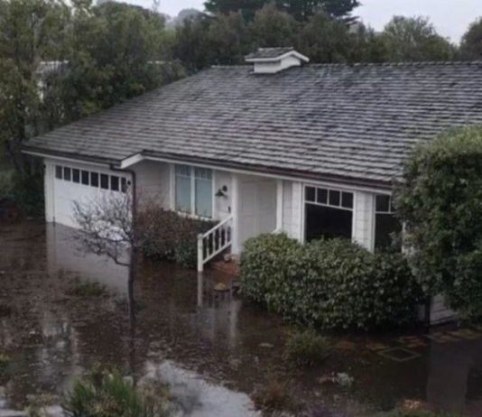 “最强风暴”造成湾区2.5万居民停电,今天南湾降雨量最大